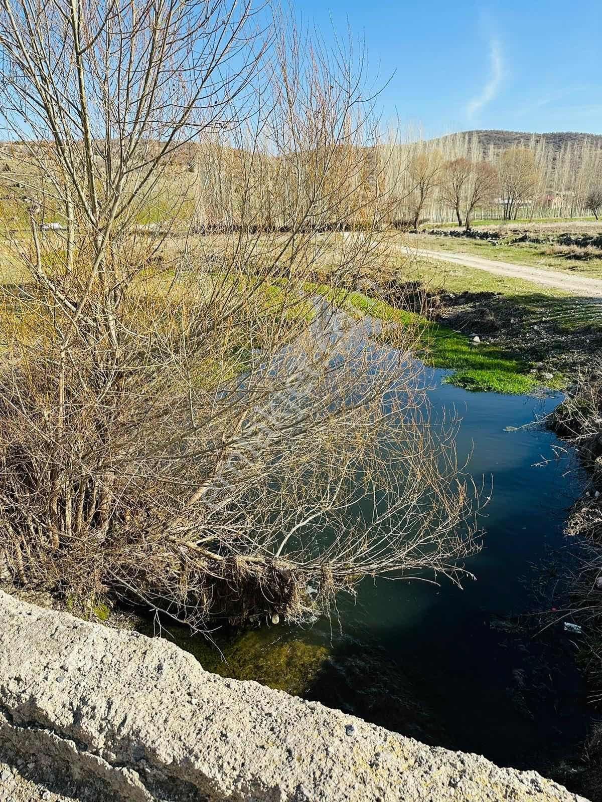 Meram Sefaköy Mahallesinde Elektriği Suyu Mevcut Tek Tapu Bahçe! - Görsel 12
