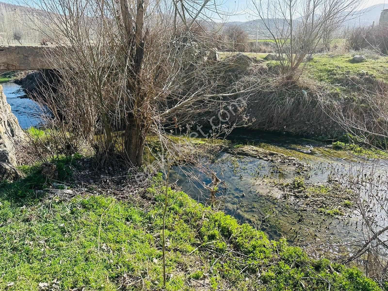 Meram Sefaköy Mahallesinde Elektriği Suyu Mevcut Tek Tapu Bahçe! - Görsel 18