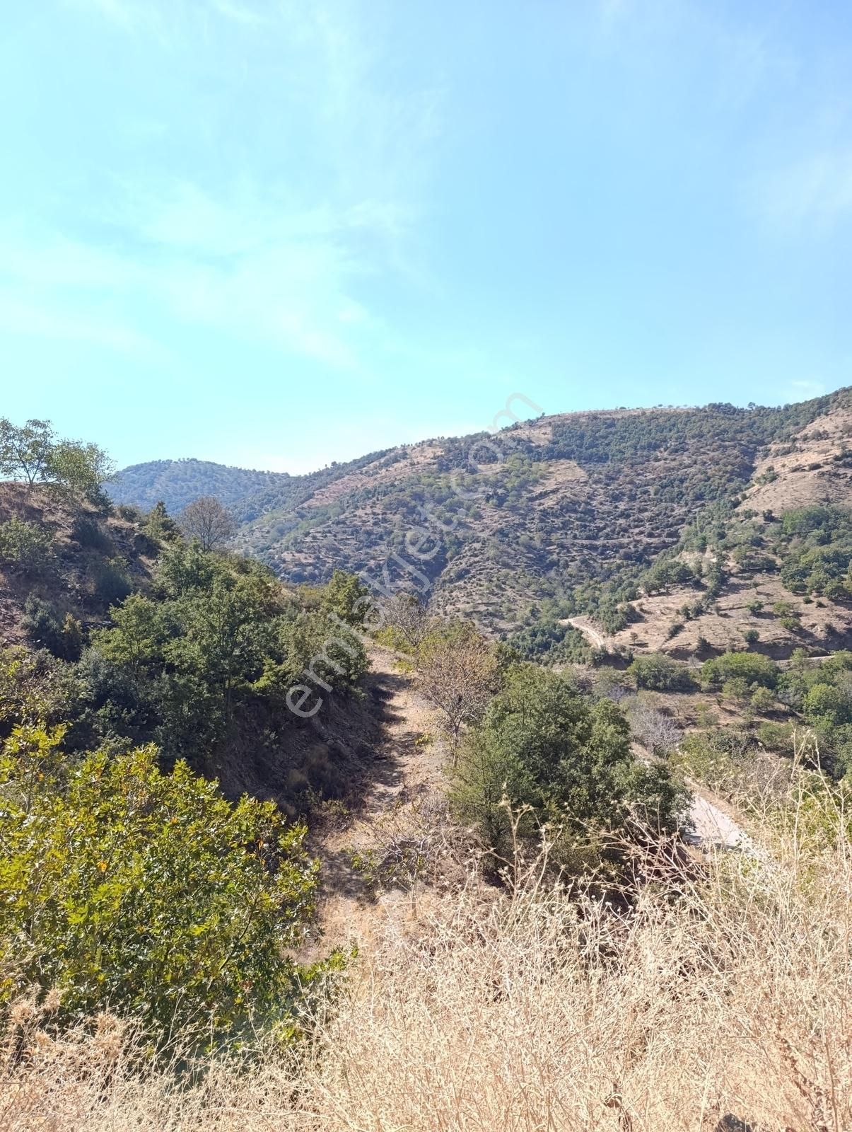 Nokta Gayrimenkul'den Satılık 8548m2 İncir Bahçesi - Görsel 7