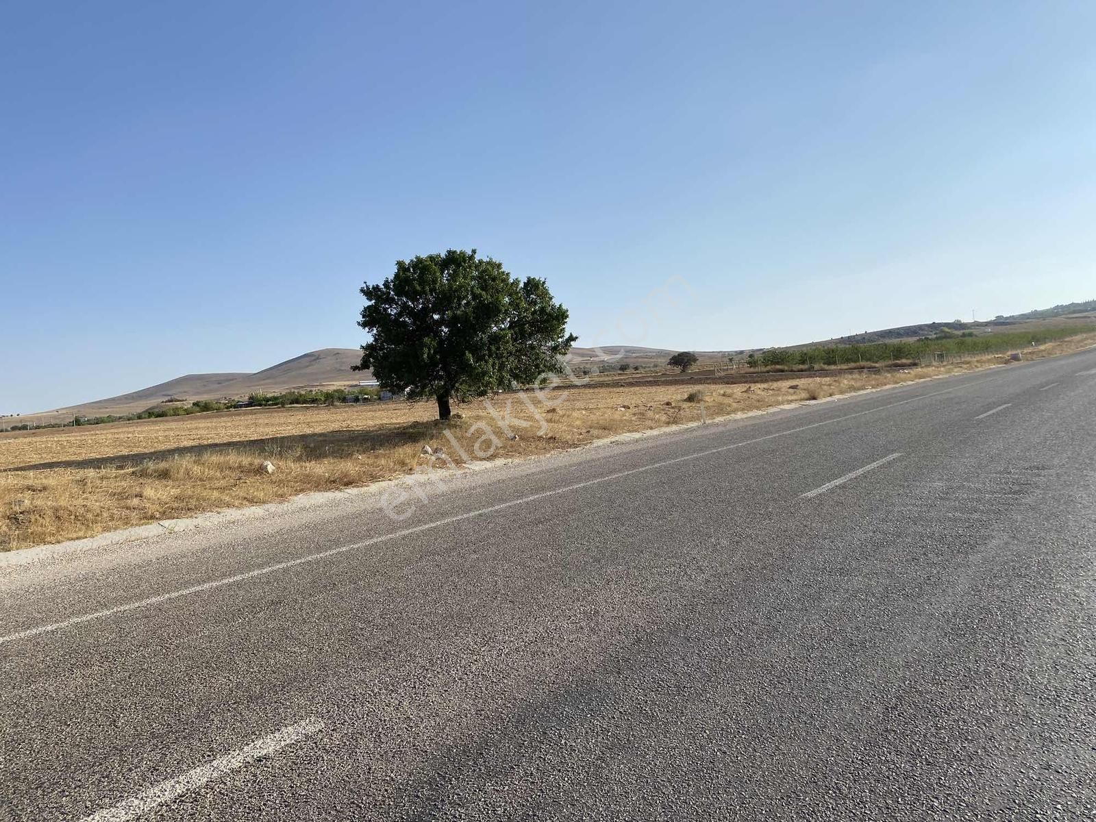 Meram Bayat Mahallesi Ana Caddeye Cephe 500 Metre Tapulu Bahçe! - Görsel 9