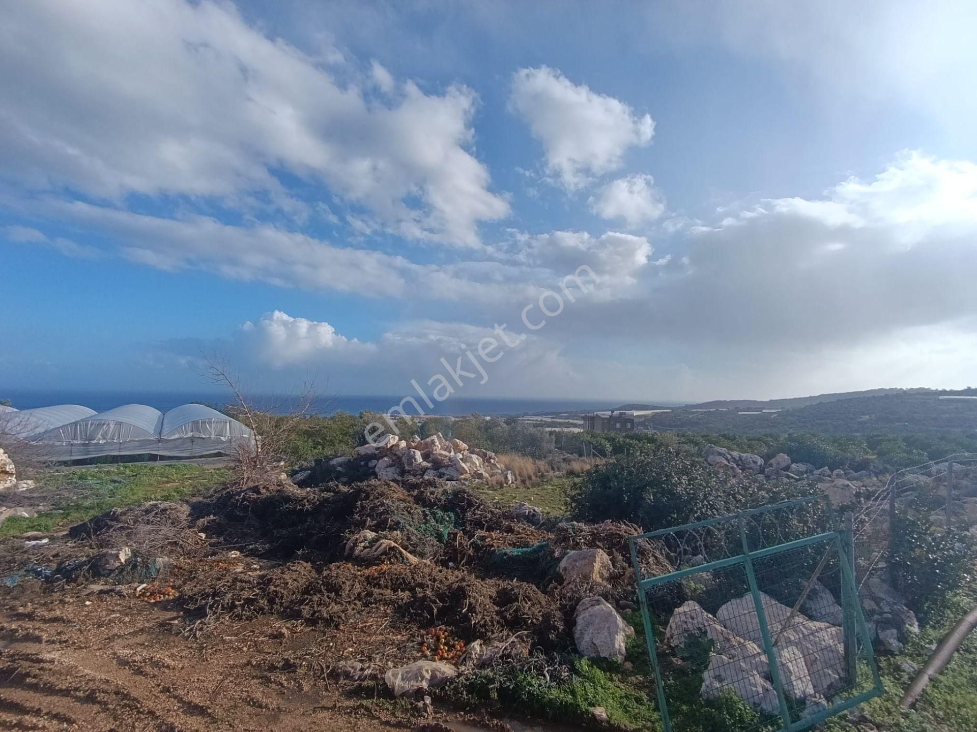 1,400 M2 Tarla Deniz Şehir Doğa Manzaralı - Görsel 2