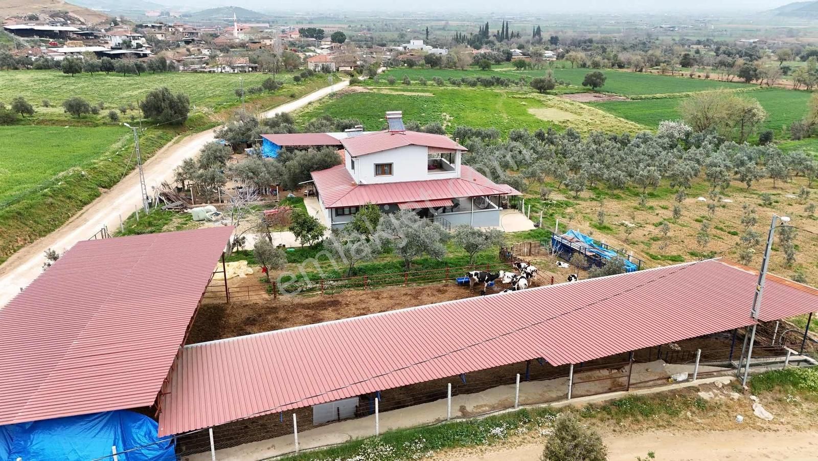 Yağlar Mahallesinde 2 Katlı Ev Ve Hayvan Çiftliği