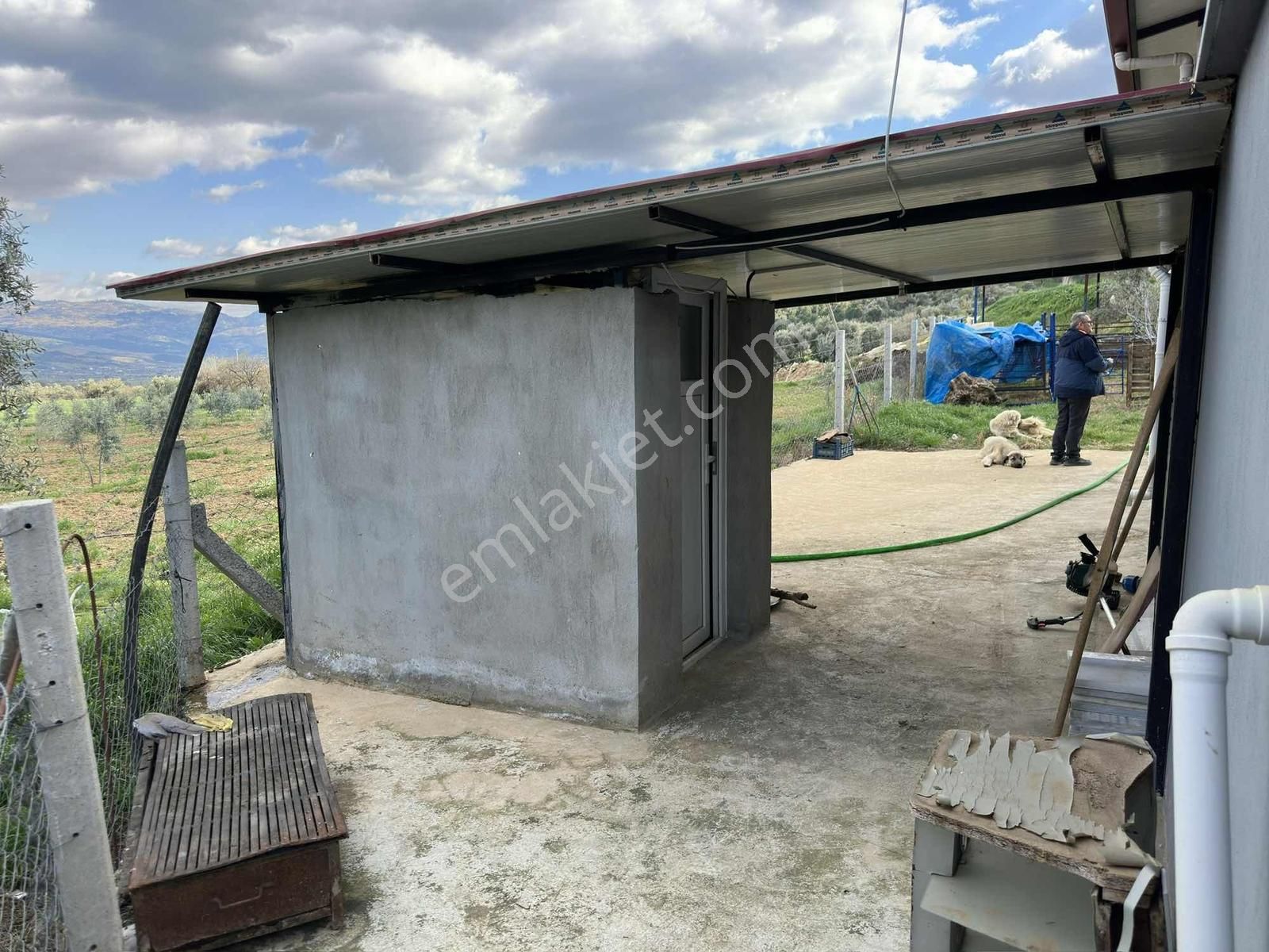 Yağlar Mahallesinde 2 Katlı Ev Ve Hayvan Çiftliği - Görsel 28