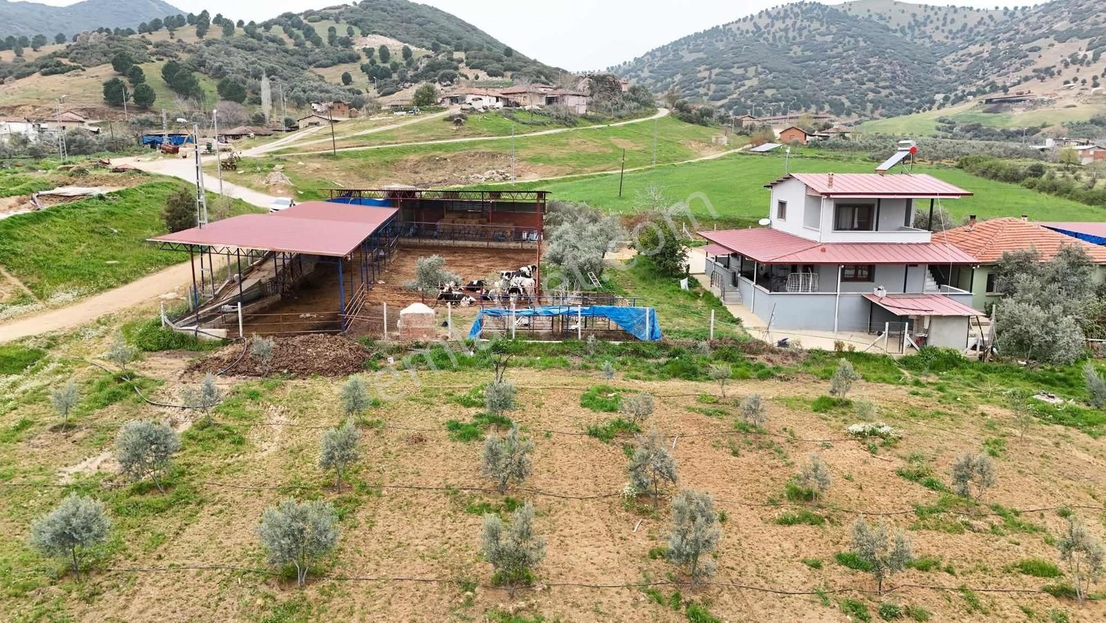 Yağlar Mahallesinde 2 Katlı Ev Ve Hayvan Çiftliği - Görsel 34