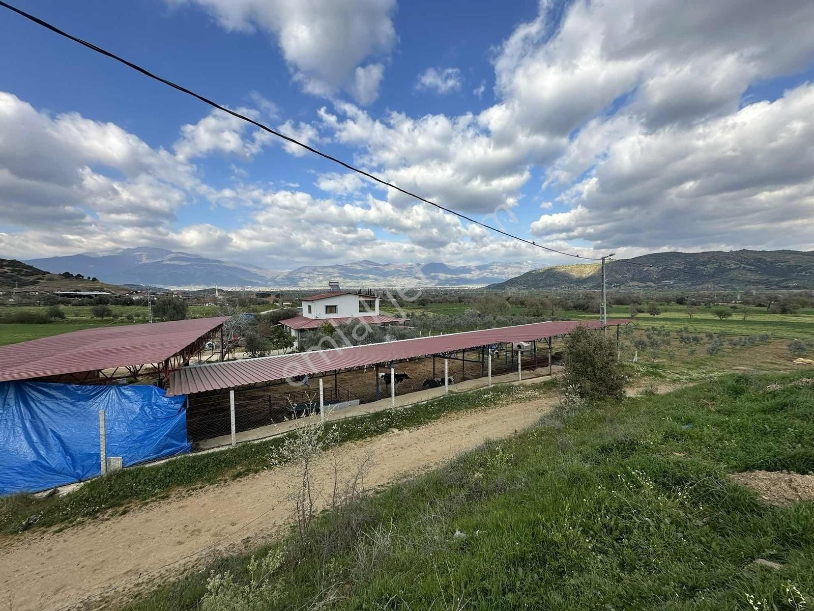 Yağlar Mahallesinde 2 Katlı Ev Ve Hayvan Çiftliği - Görsel 7