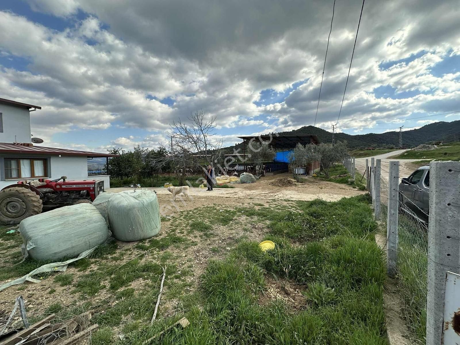 Yağlar Mahallesinde 2 Katlı Ev Ve Hayvan Çiftliği - Görsel 33