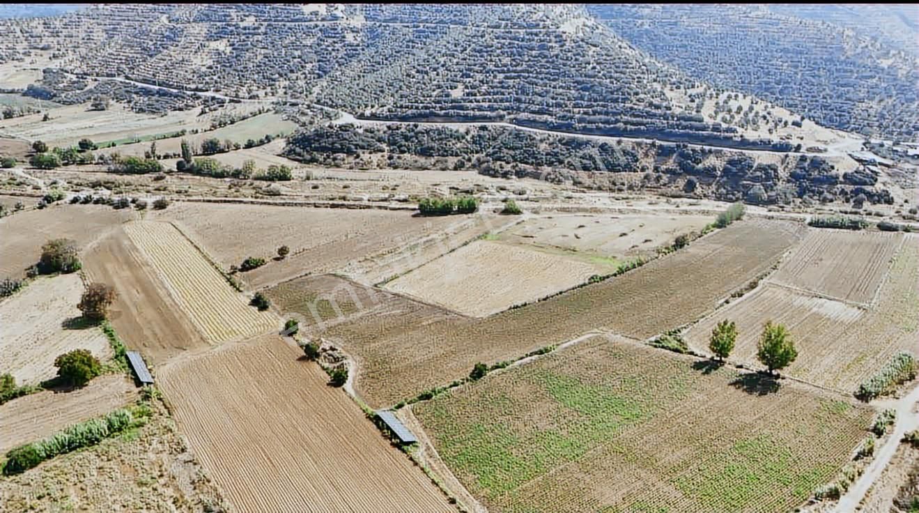 Umurcalı Çakaltepe Mevkinde 14.350 M2 Satılık Tarla - Görsel 2