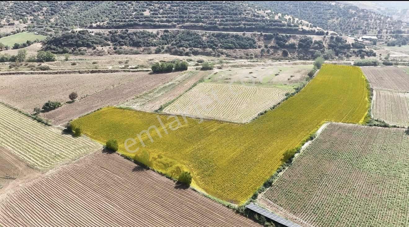 Umurcalı Çakaltepe Mevkinde 14.350 M2 Satılık Tarla