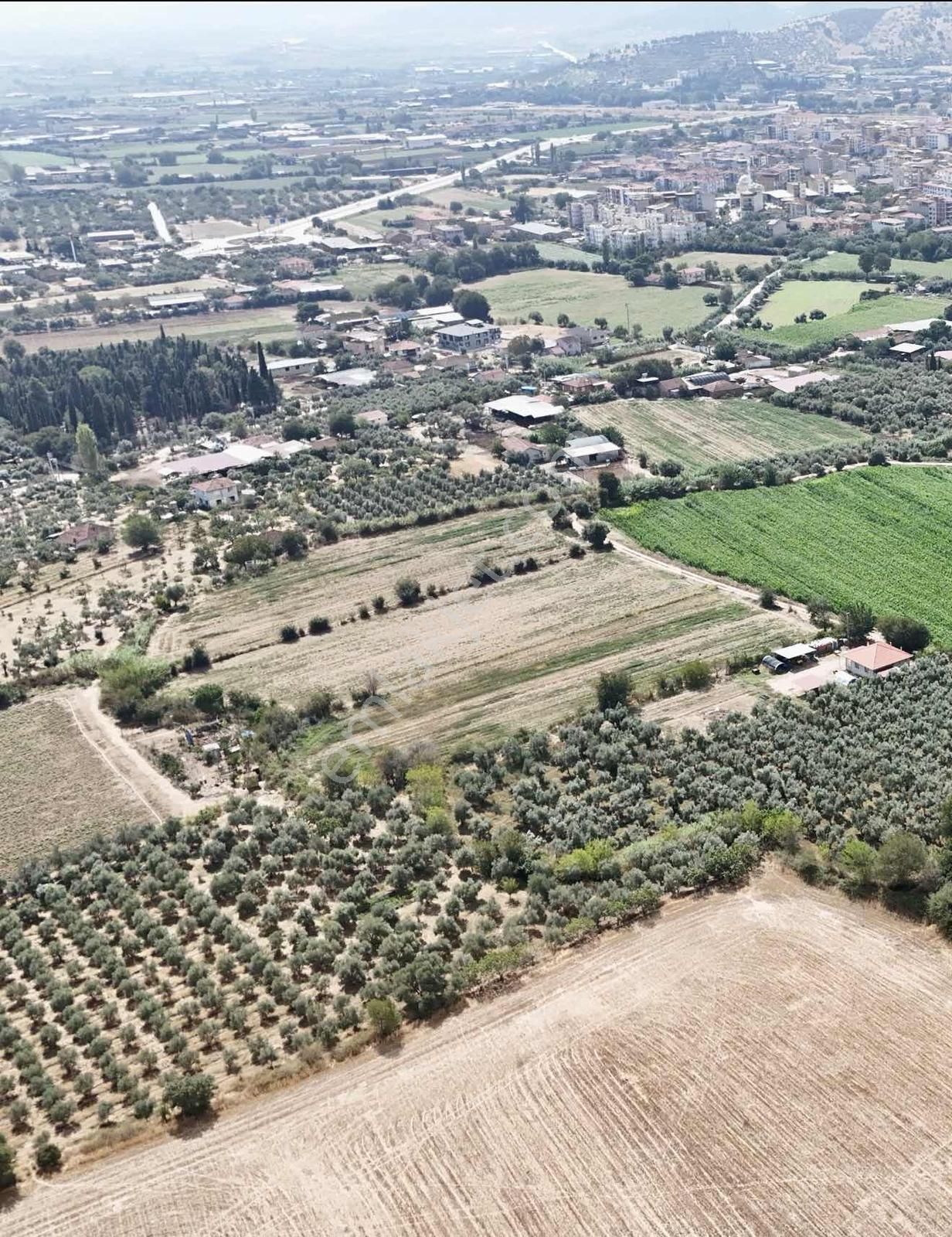 Ceritler Mahallesinde 5.156 M2 Satılık Tarla - Görsel 5