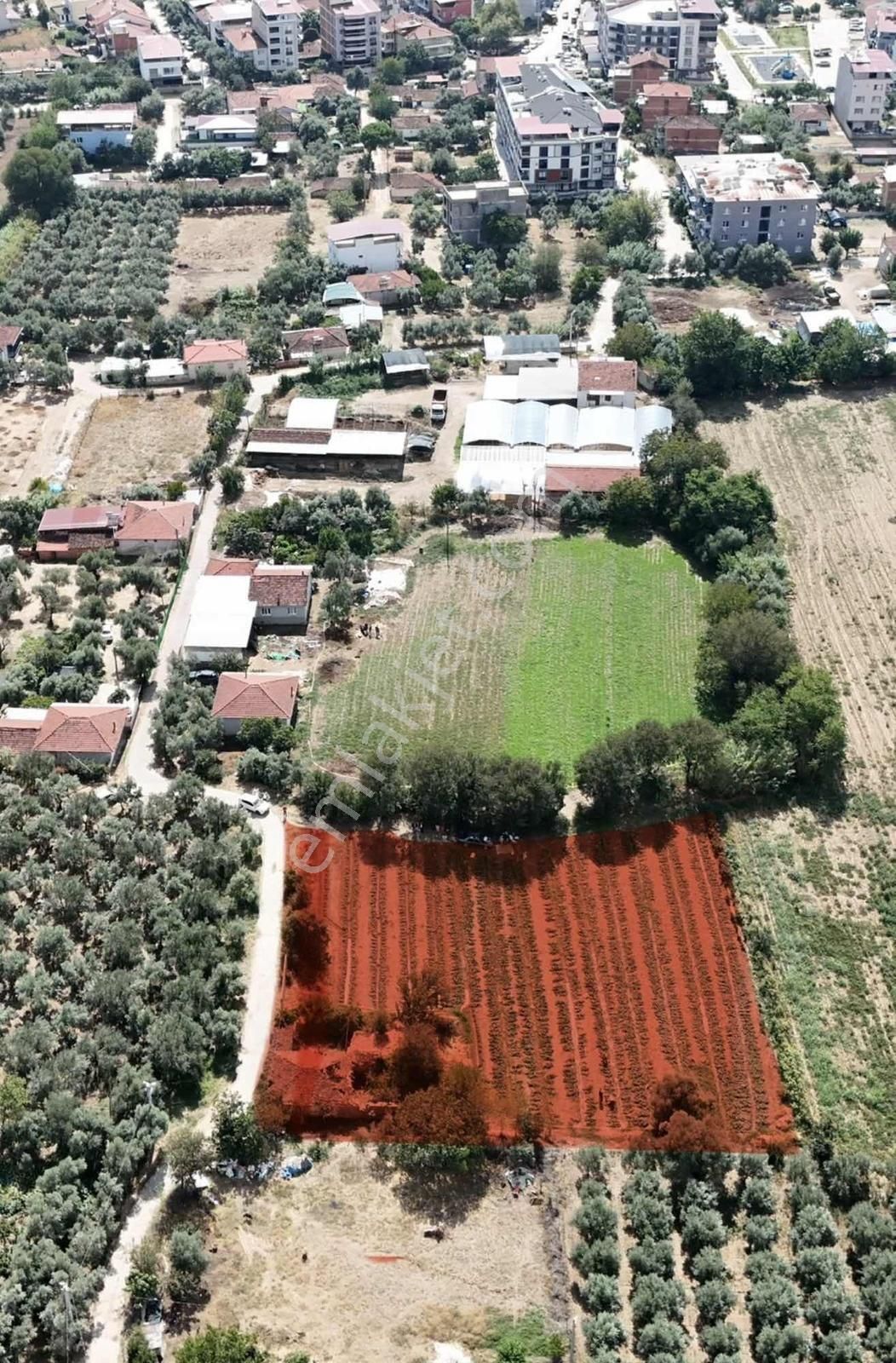 İstiklal Mahallesinde 2.994 M2 Satılık Arsa