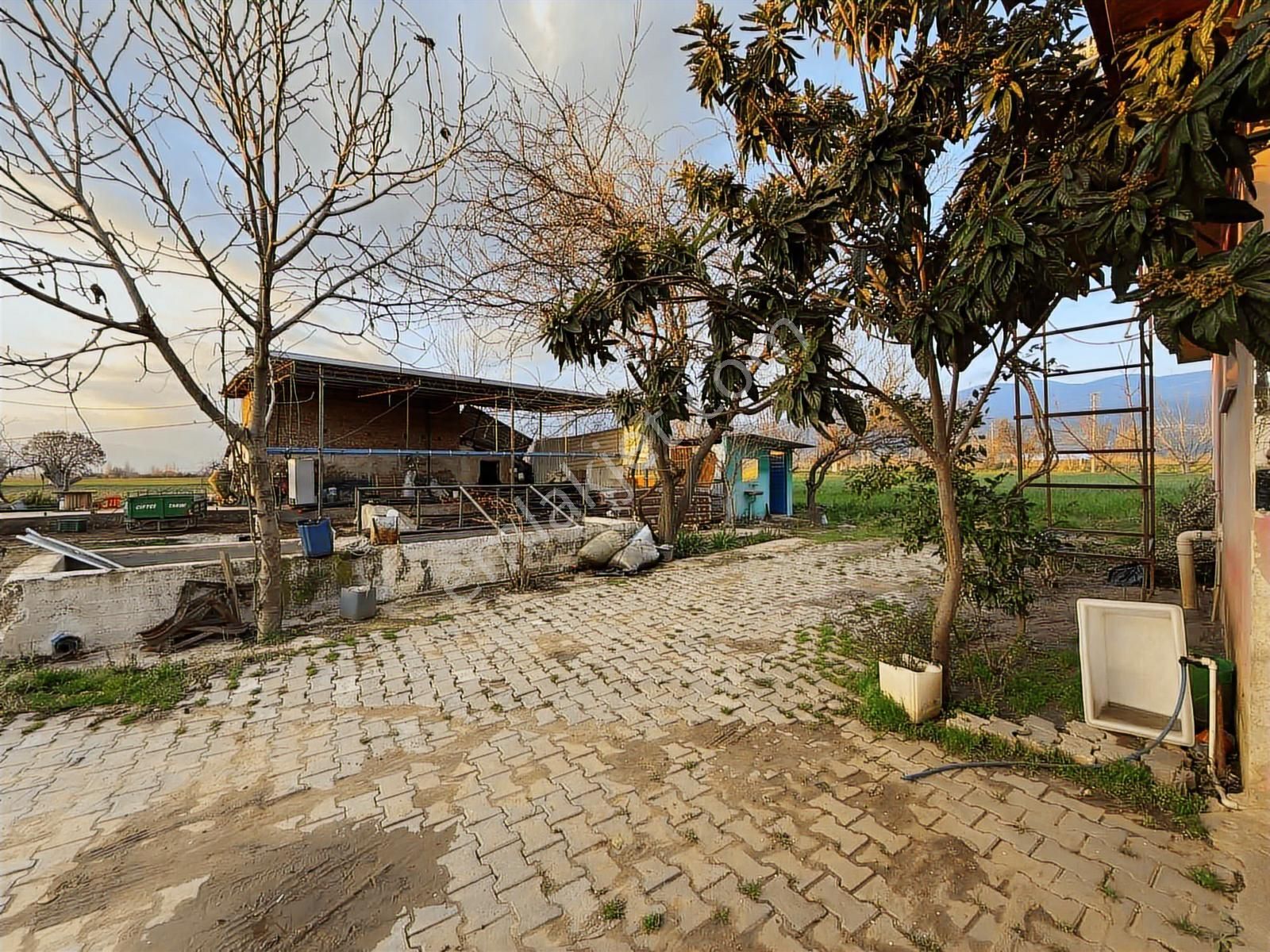 Karaburç Mahallesinde 13.738m2 Satılık Tarla Ve Ev - Görsel 18