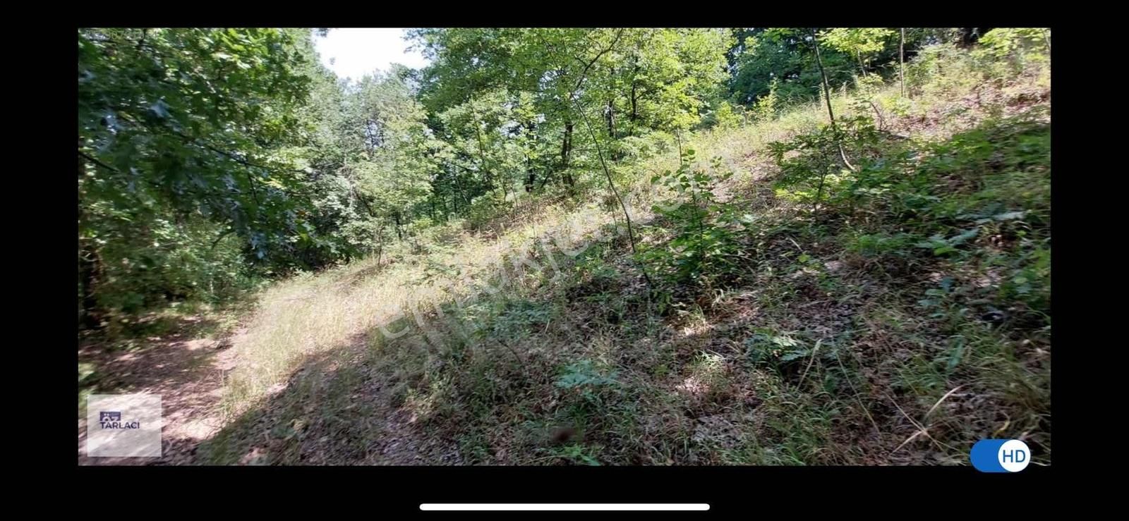 Akarca Mahallesi'nde Satılık 3350m2 - Görsel 5