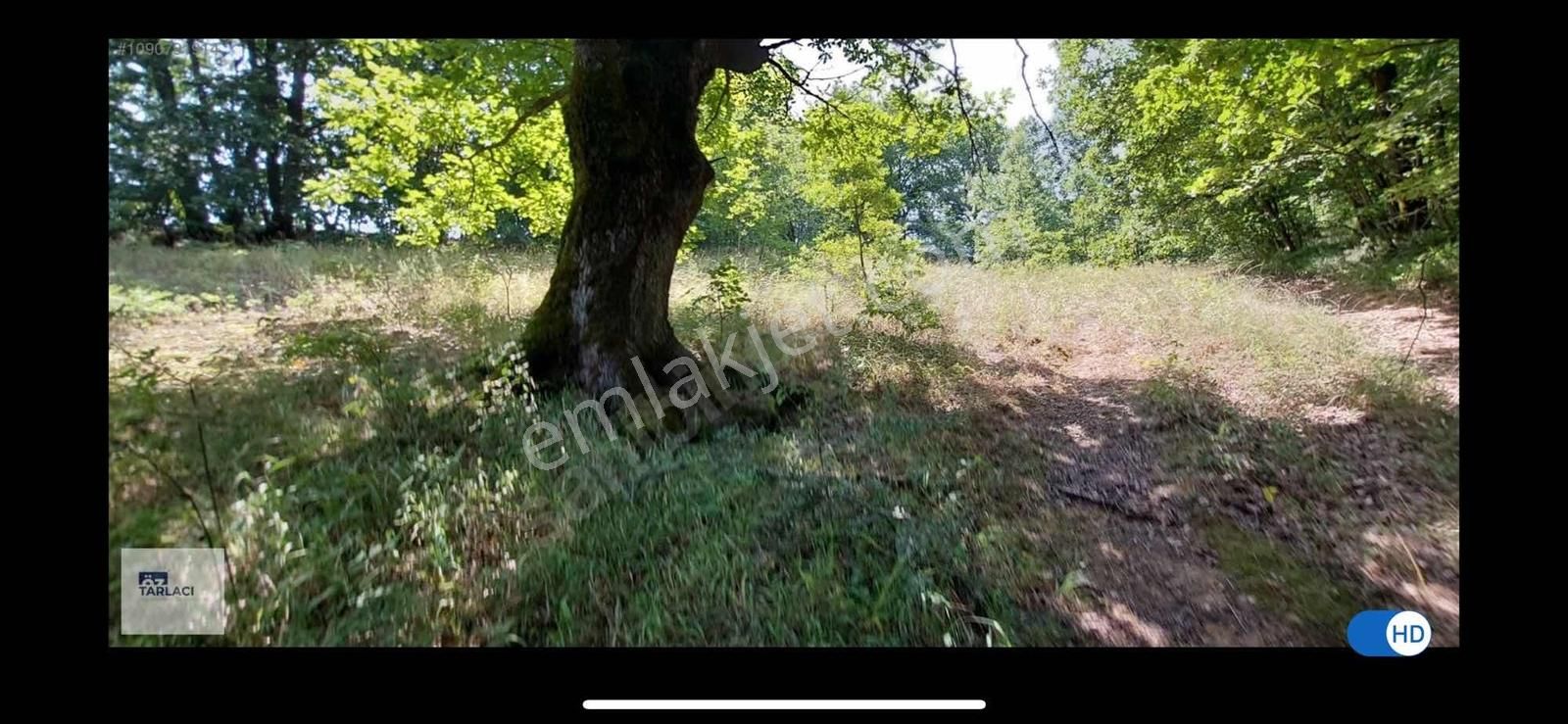Akarca Mahallesi'nde Satılık 3350m2 - Görsel 6