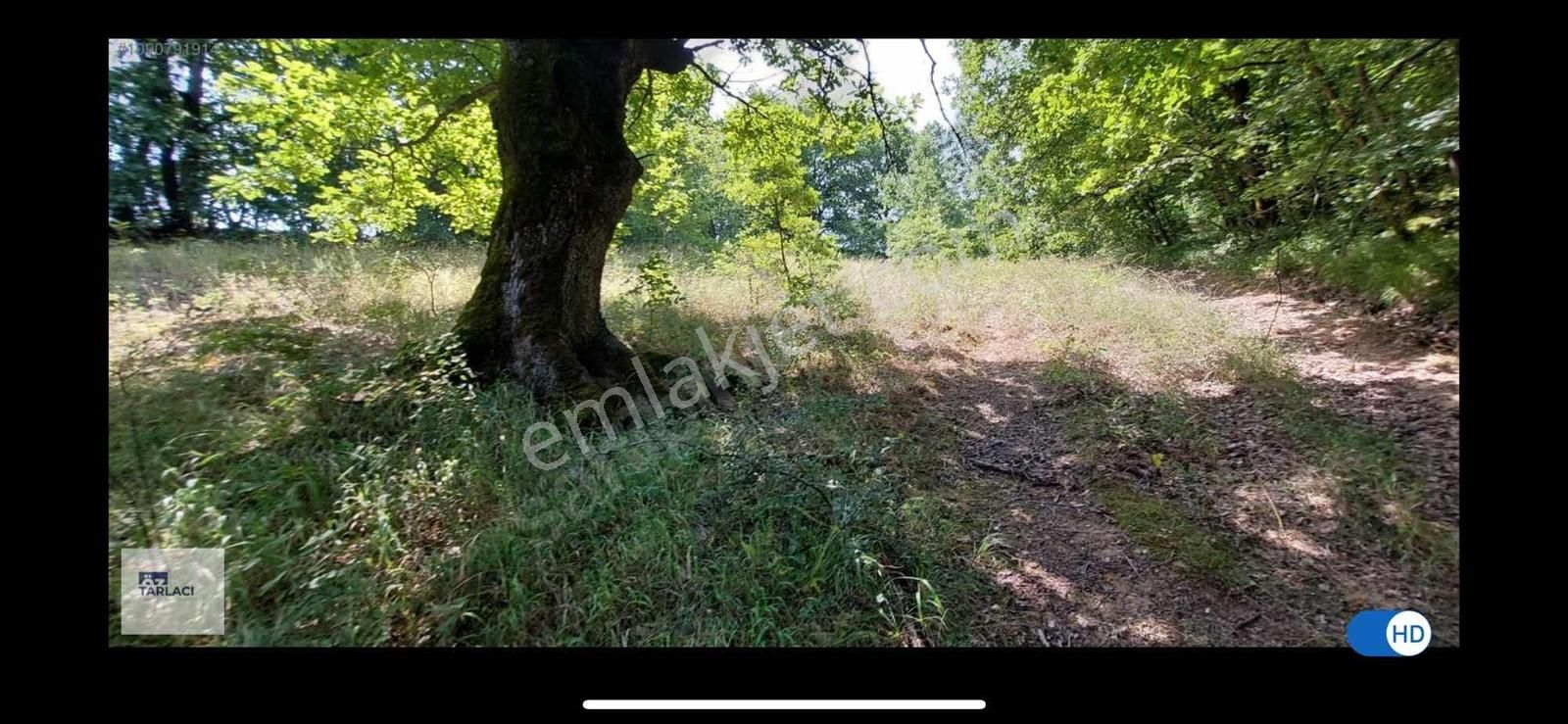 Akarca Mahallesi'nde Satılık 3350m2