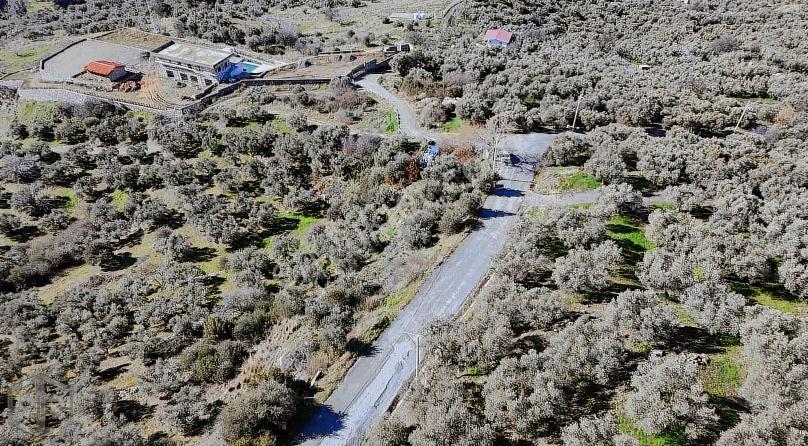 İzmir Selçuk Abuhayat Bölgesinde İki Ayrı Tapu - Görsel 9