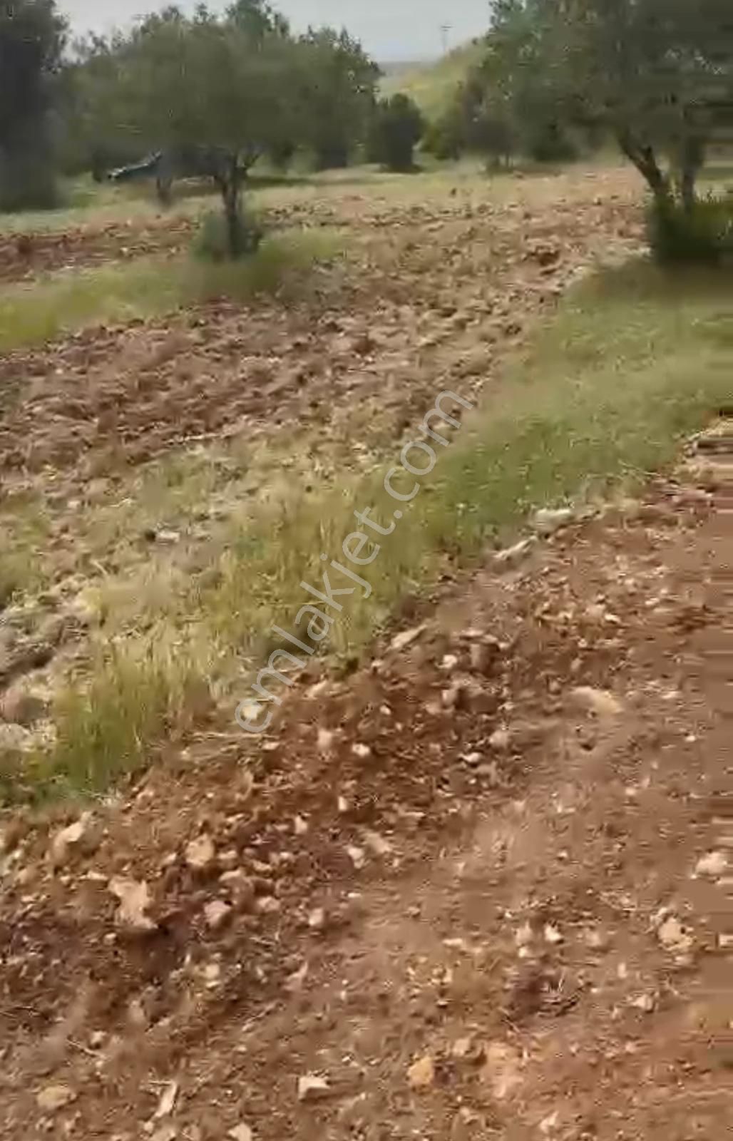 Aliağa Aşağı Şakran Sınırında Fırsat - Görsel 9