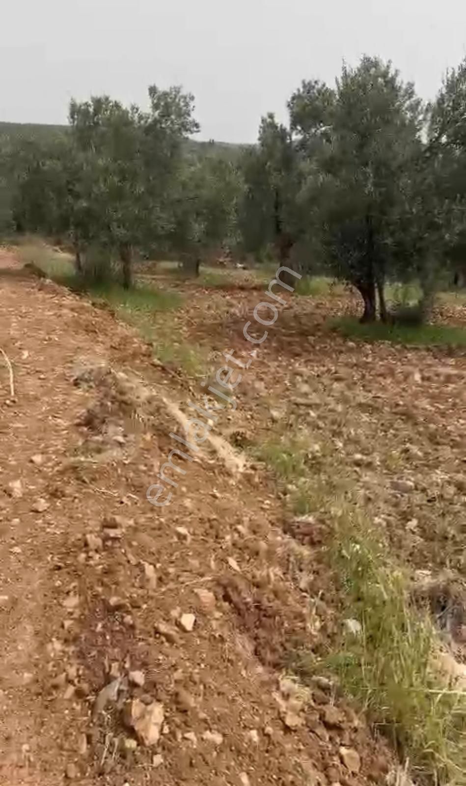 Aliağa Aşağı Şakran Sınırında Fırsat - Görsel 6
