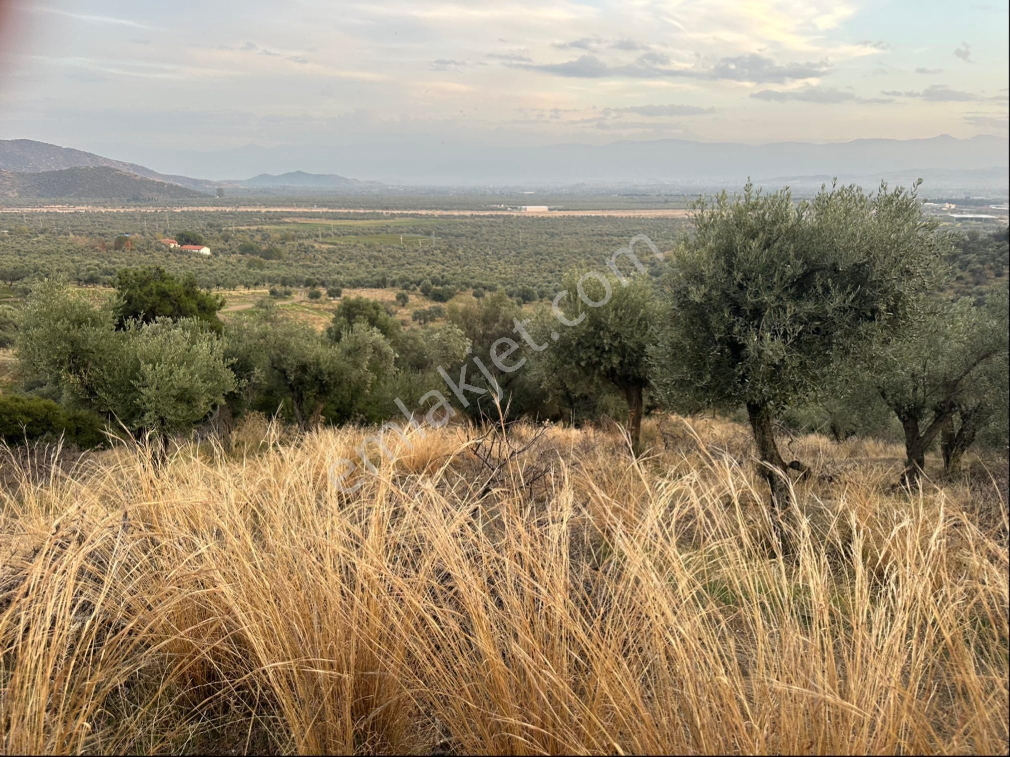 Bayındır Demircilik Mahallesinde Gelişen Bölgede