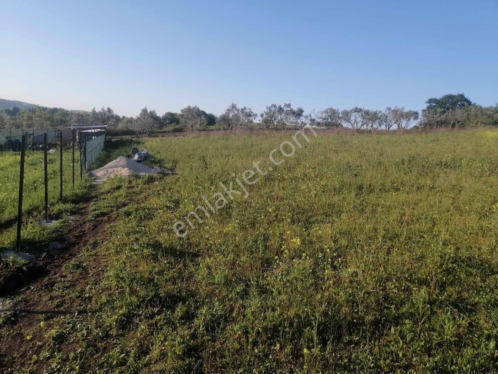 Demirdere Mh Satılık 650 M2 İmarlı Manzaralı Arsa - Görsel 5