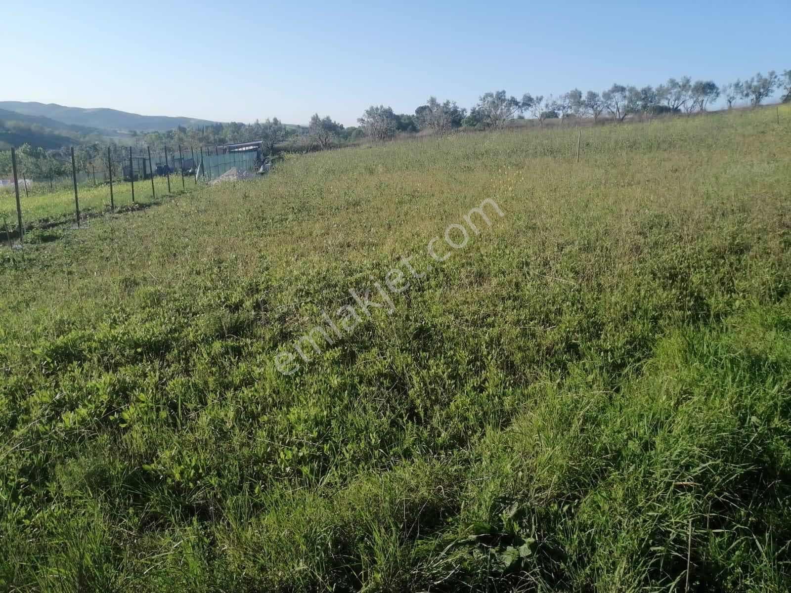 Demirdere Mh Satılık 650 M2 İmarlı Manzaralı Arsa