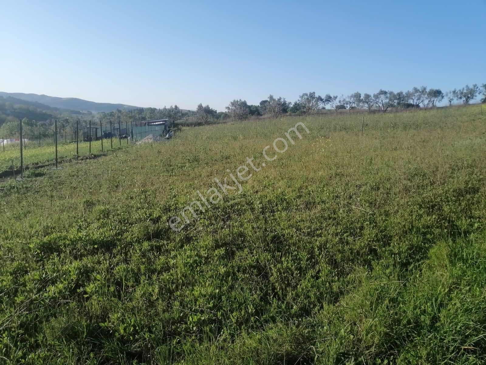 Demirdere Mh Satılık 650 M2 İmarlı Manzaralı Arsa - Görsel 3