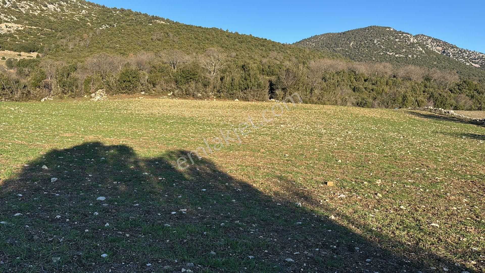 Burdur-ağlasun Yazır Köyünde Yatrımlık Fırsat Tarla - Görsel 26