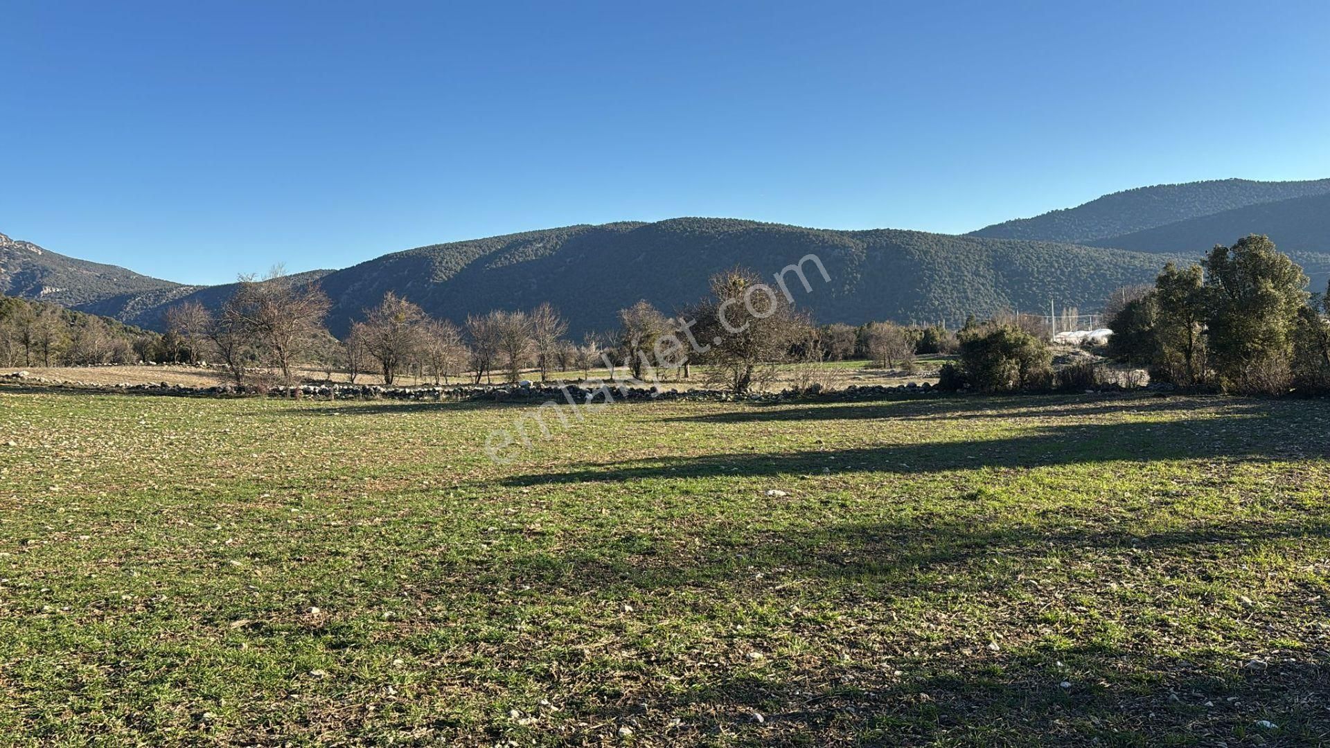 Burdur-ağlasun Yazır Köyünde Yatrımlık Fırsat Tarla - Görsel 19