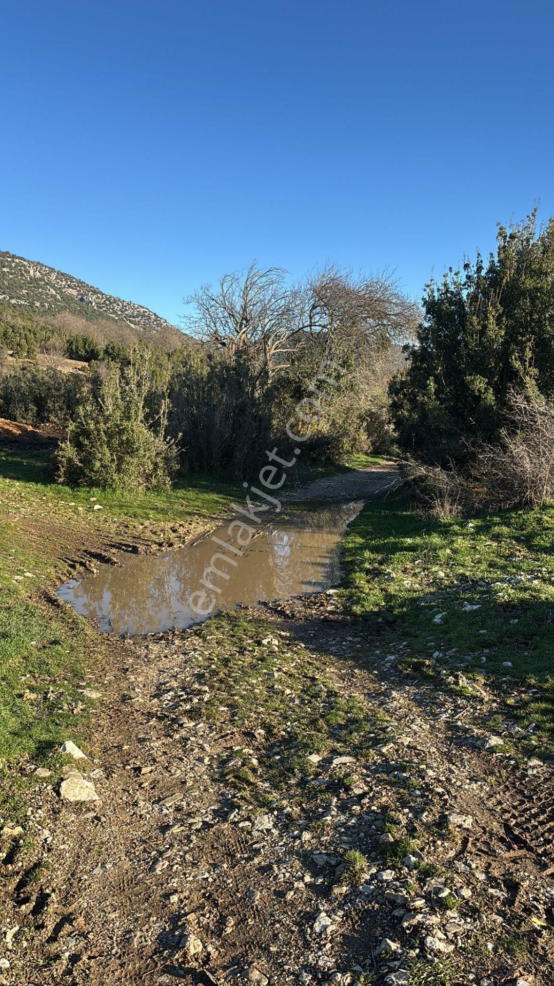 Burdur-ağlasun Yazır Köyünde Yatrımlık Fırsat Tarla - Görsel 28