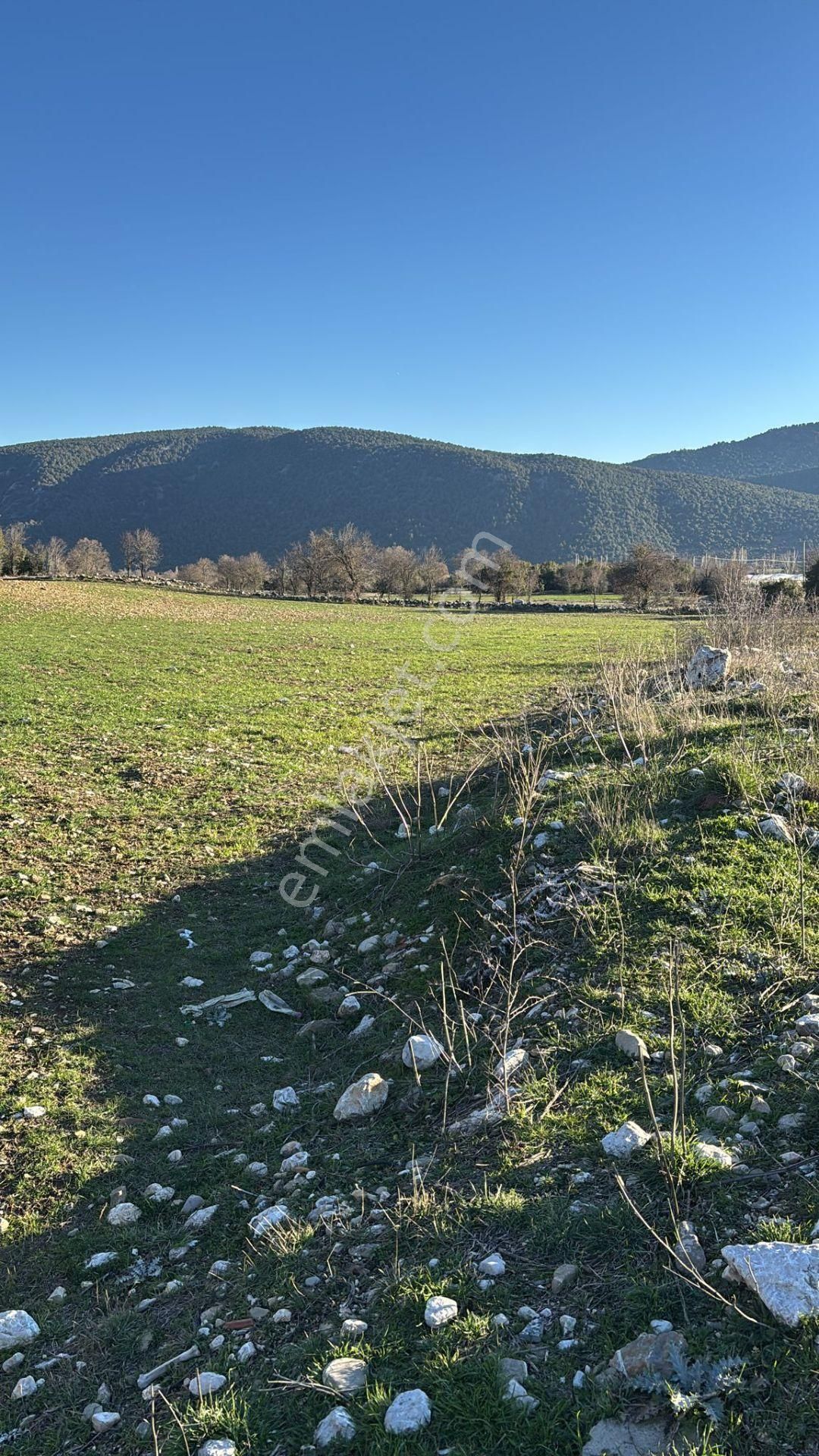 Burdur-ağlasun Yazır Köyünde Yatrımlık Fırsat Tarla - Görsel 3