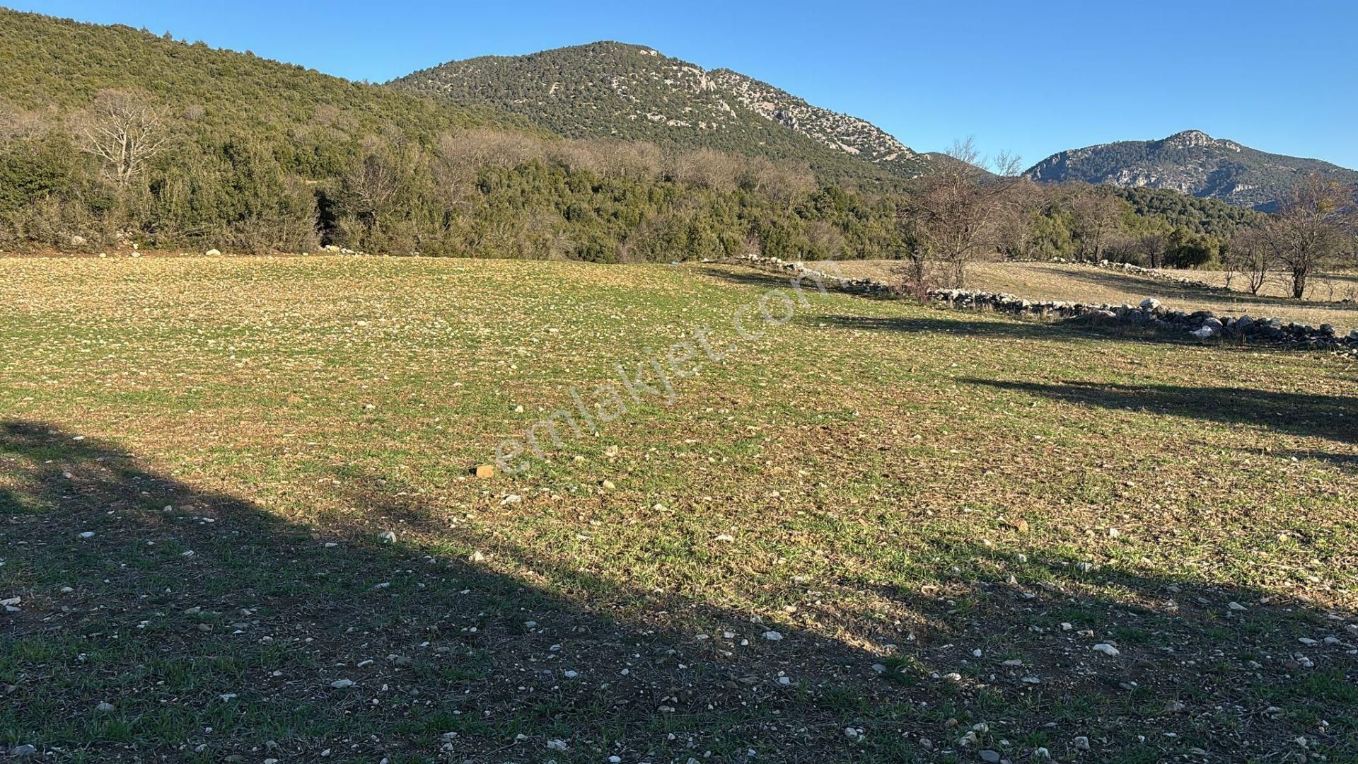 Burdur-ağlasun Yazır Köyünde Yatrımlık Fırsat Tarla - Görsel 27