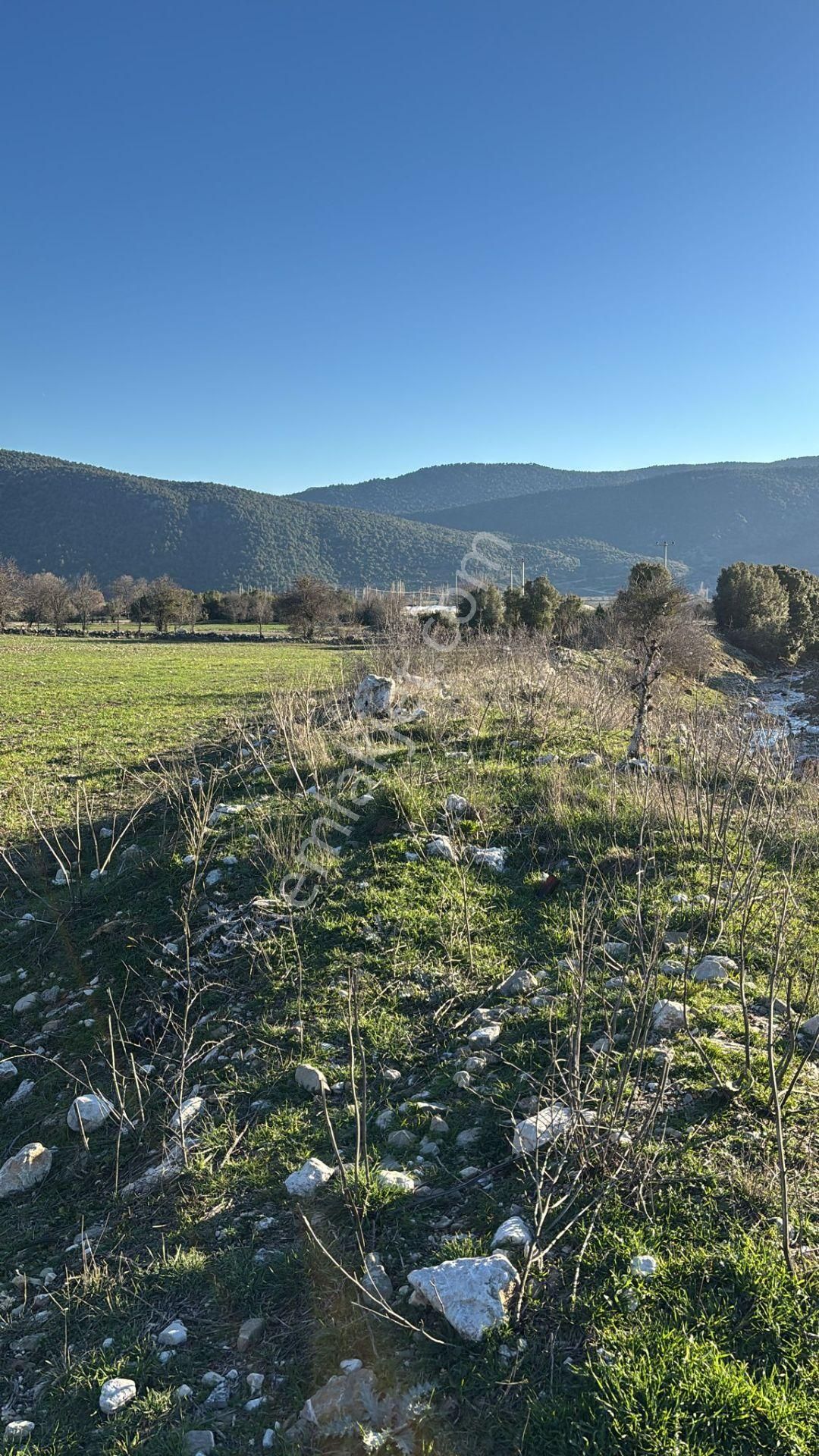 Burdur-ağlasun Yazır Köyünde Yatrımlık Fırsat Tarla - Görsel 4