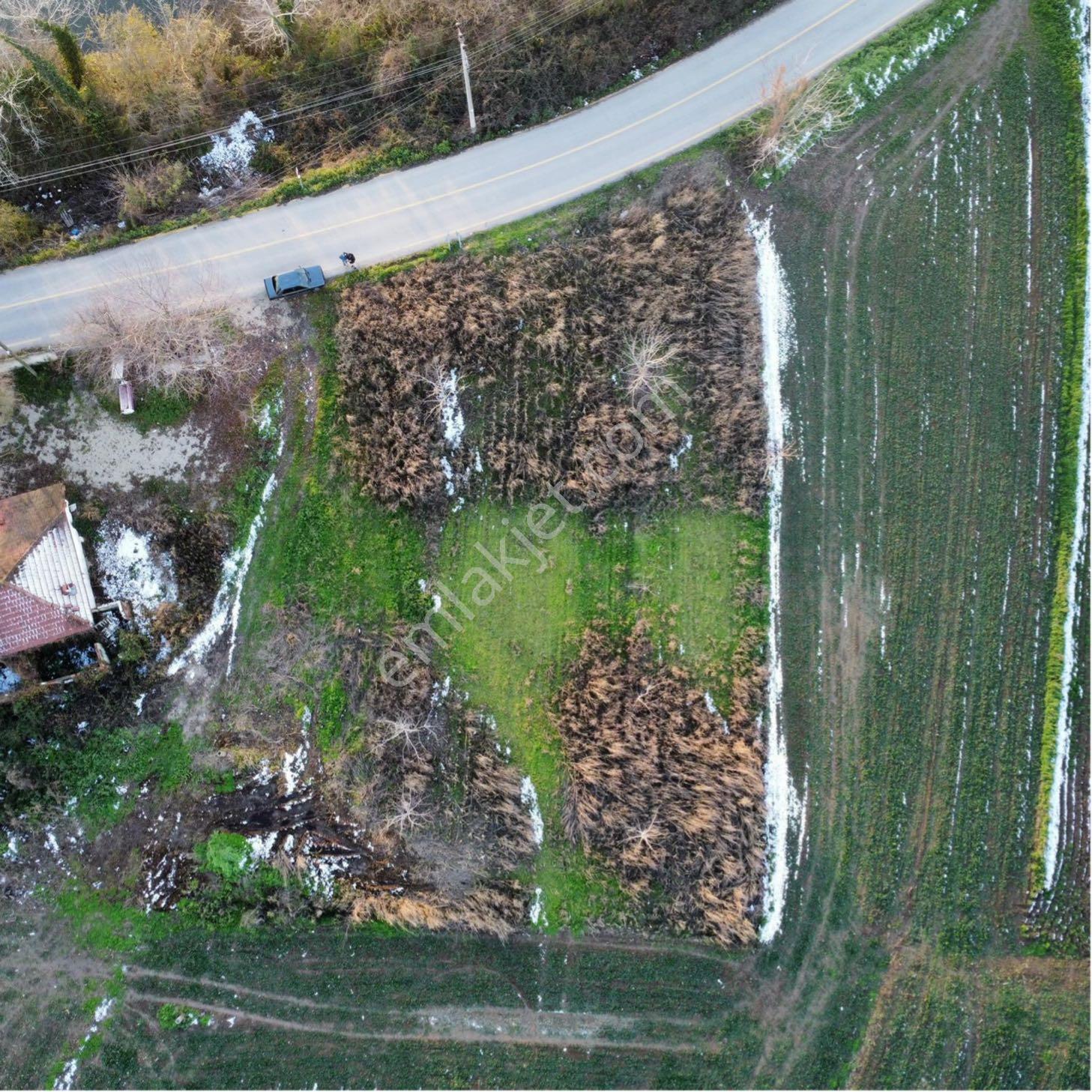 Mollaköyde Yola Cepheli Manzaralı İmarlı Arsa - Görsel 2