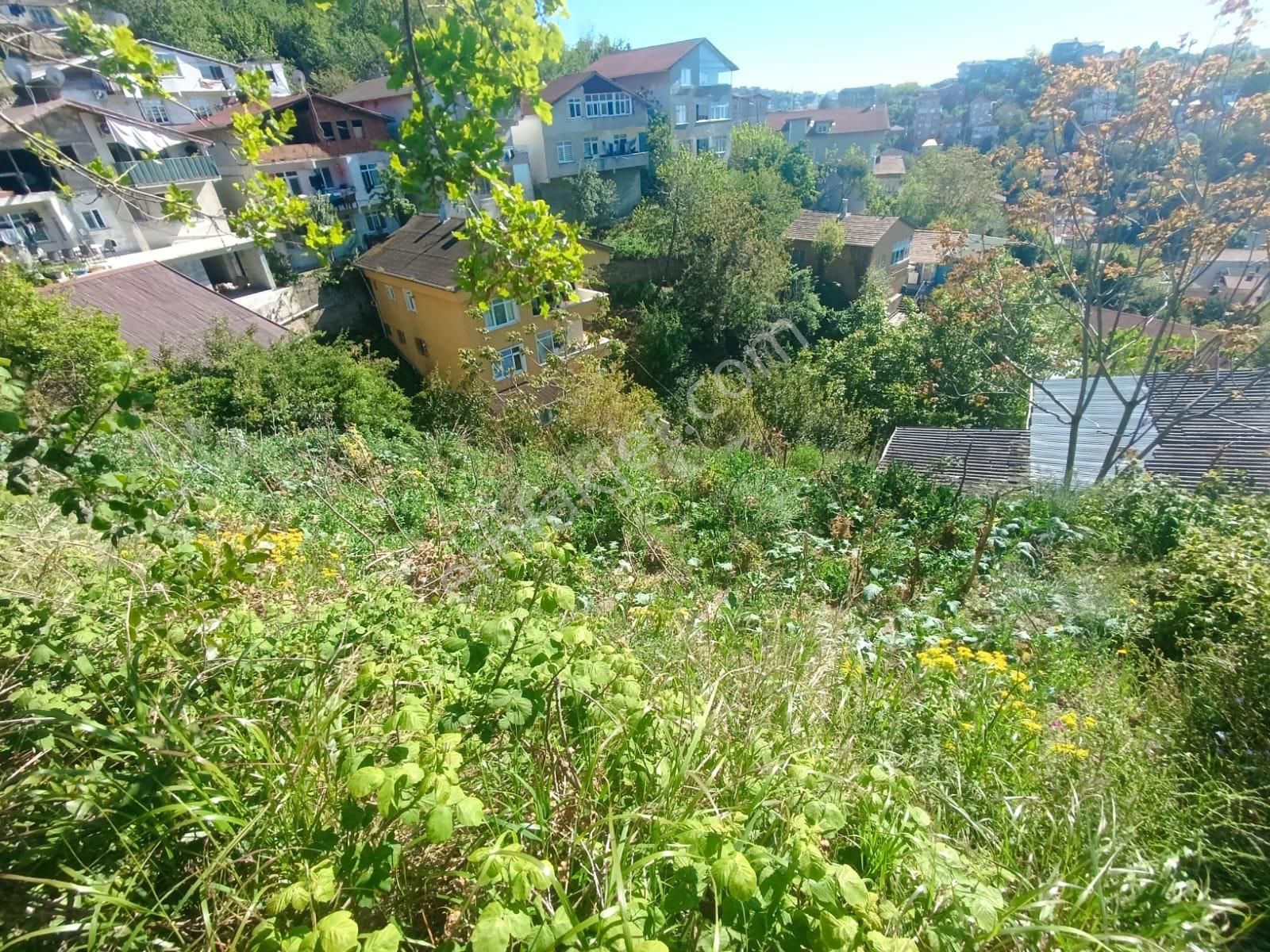Beykoz Belediye Arkası Gümüşsuyu Mh Boğaz Manzaralı Arsa - Görsel 9