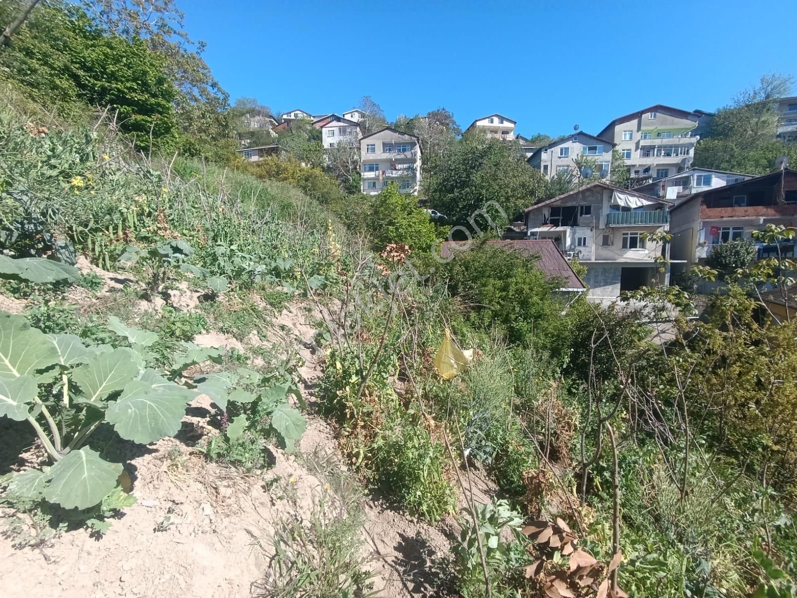 Beykoz Belediye Arkası Gümüşsuyu Mh Boğaz Manzaralı Arsa - Görsel 17
