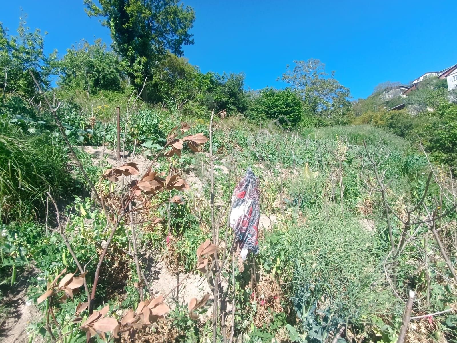 Beykoz Belediye Arkası Gümüşsuyu Mh Boğaz Manzaralı Arsa - Görsel 8