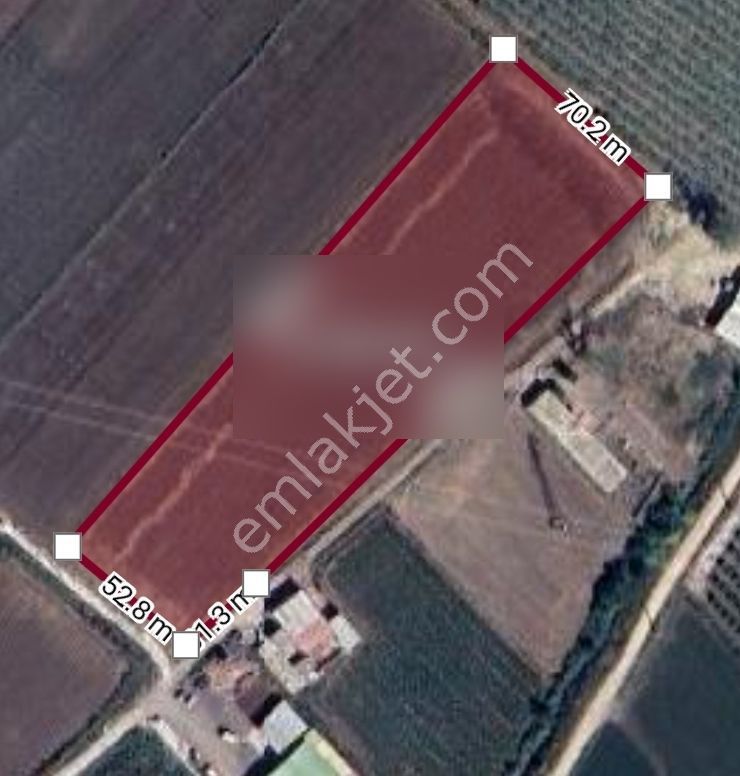 Alihocalı Merkezine Yakın 3 Parsel Hisseli Tarla – Paket Satış!. - Görsel 10