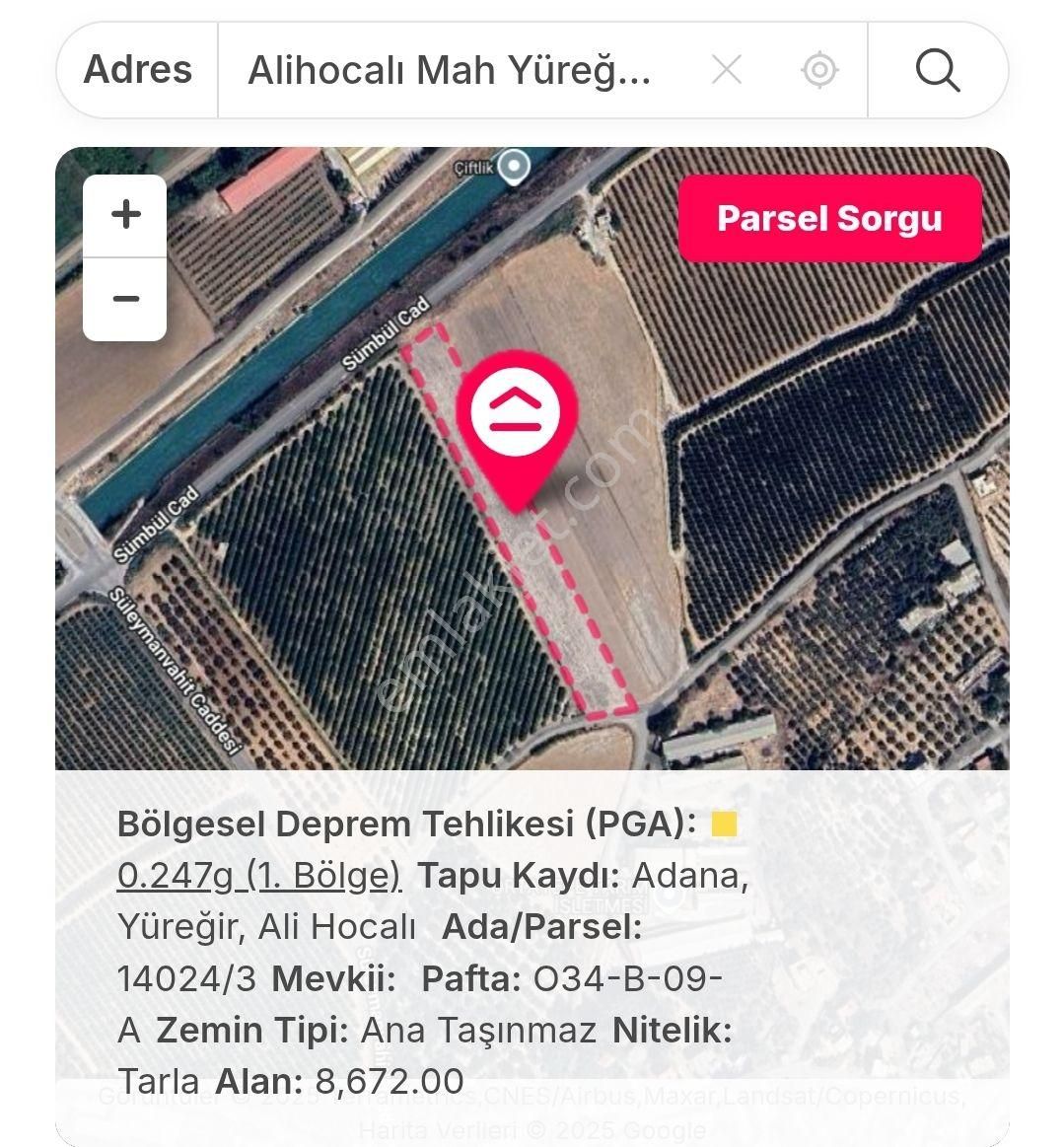 Alihocalı Merkezine Yakın 3 Parsel Hisseli Tarla – Paket Satış!. - Görsel 3