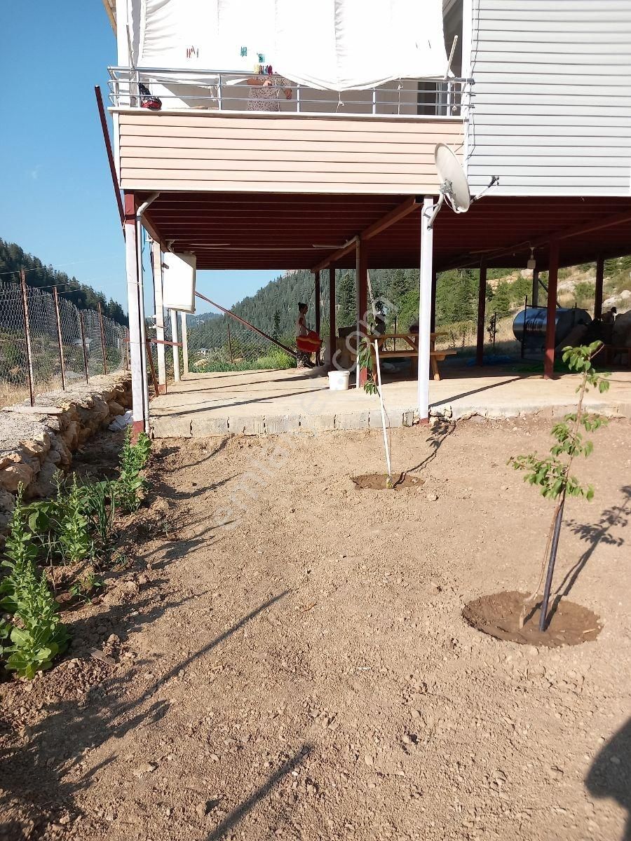 Anamur Abanoz Yaylasında Satılık Eşyalı Yayla Evi - Görsel 19