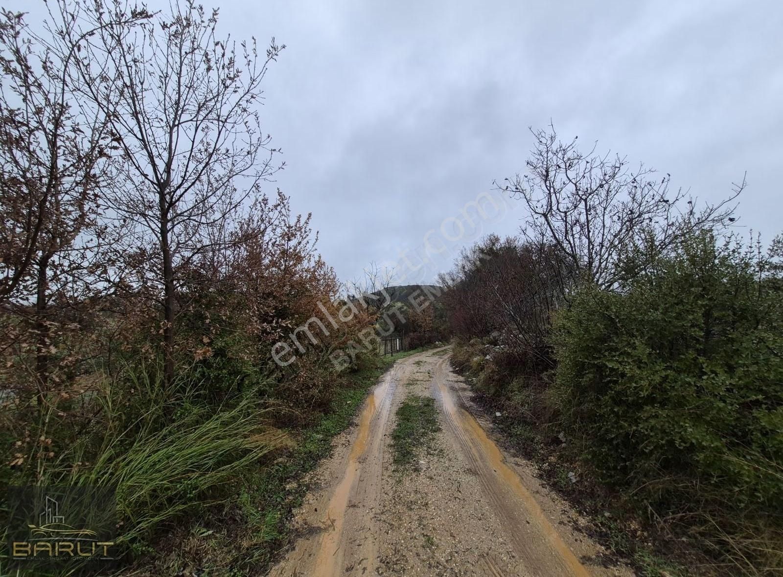 Muğla Yerkesik'te 4730m2 Yatırımlık Tarla - Görsel 10