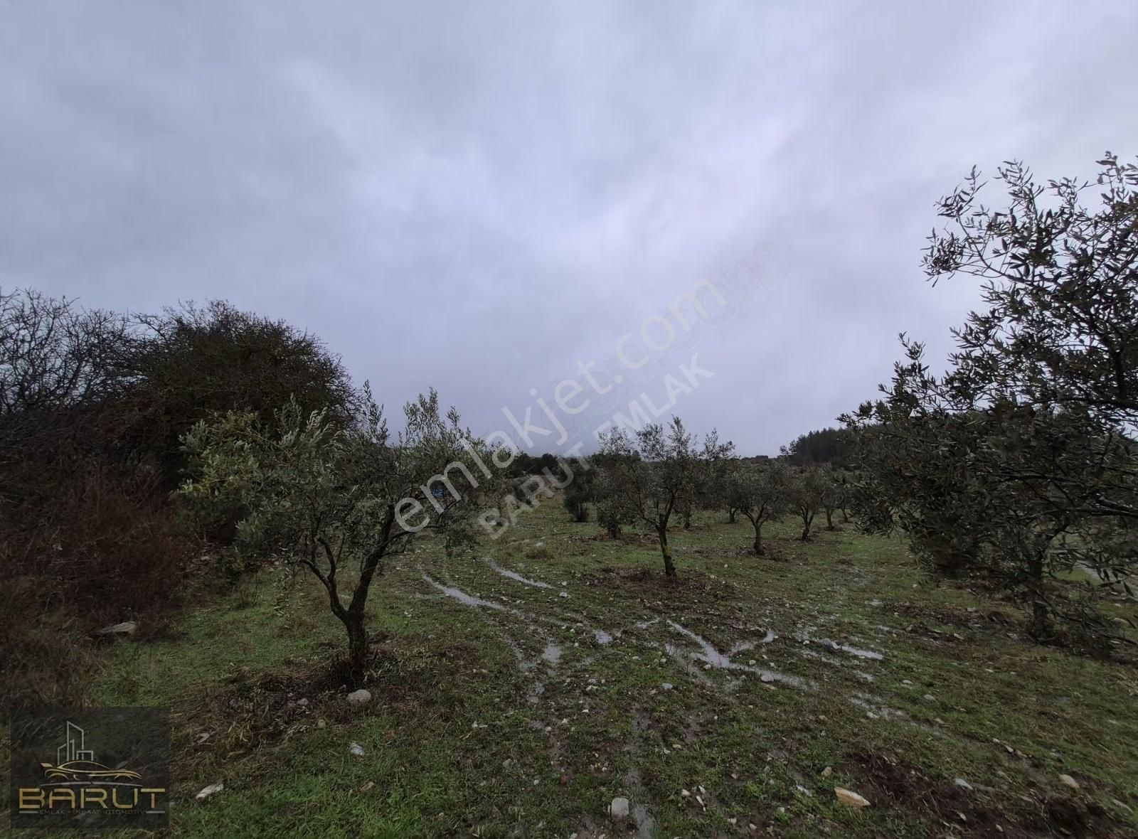 Muğla Yerkesik'te 4730m2 Yatırımlık Tarla - Görsel 12