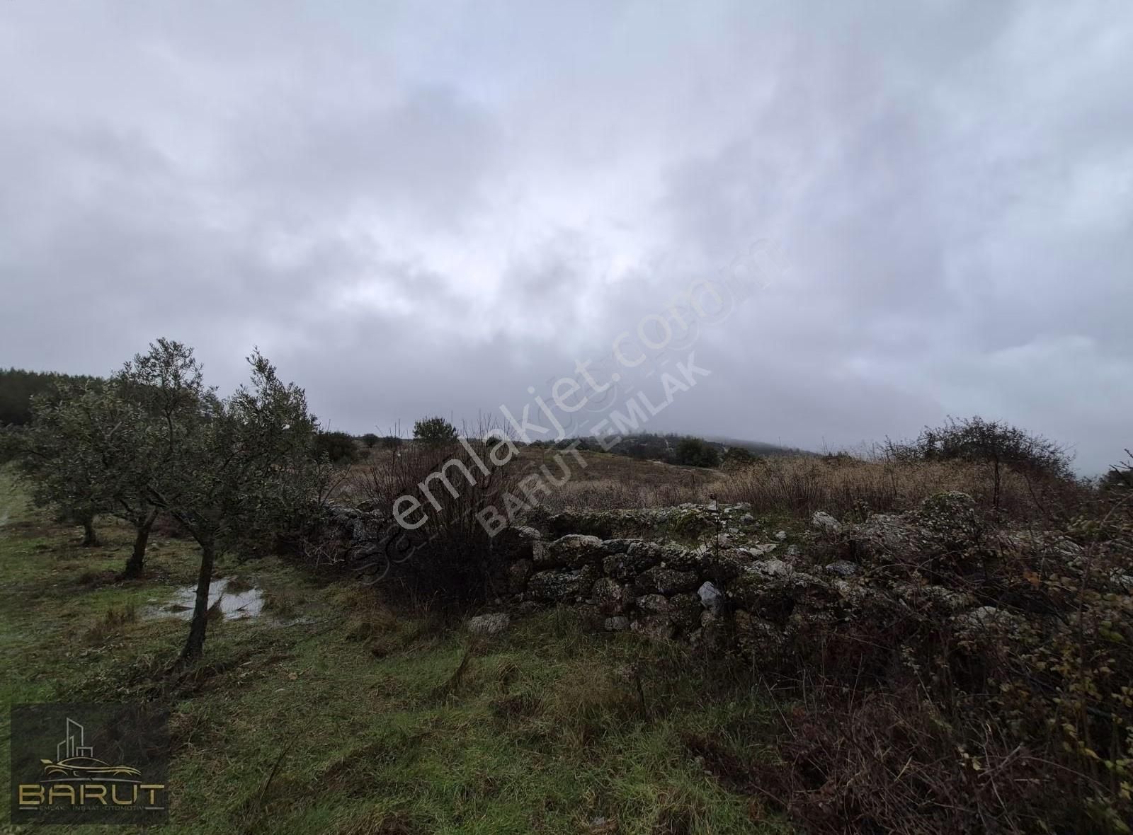 Muğla Yerkesik'te 4730m2 Yatırımlık Tarla - Görsel 4