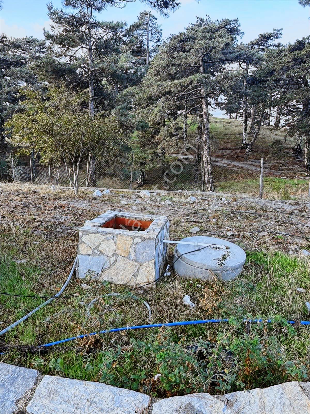 Oksijen Bombası Kazdağlarında Muhteşem 3 Adet Dağ Evi - Görsel 18
