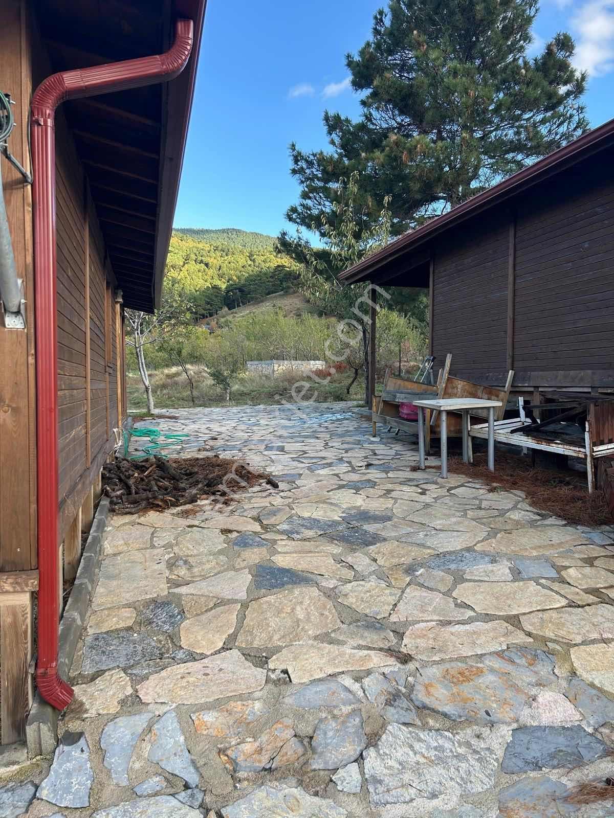Oksijen Bombası Kazdağlarında Muhteşem 3 Adet Dağ Evi - Görsel 10
