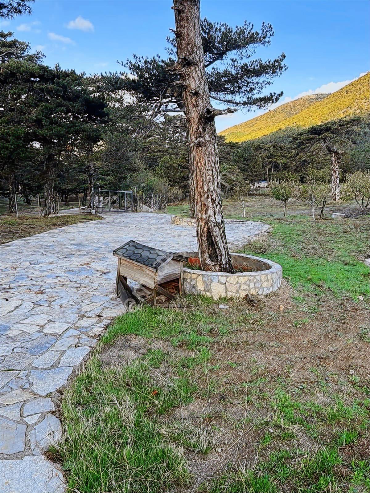 Oksijen Bombası Kazdağlarında Muhteşem 3 Adet Dağ Evi - Görsel 20