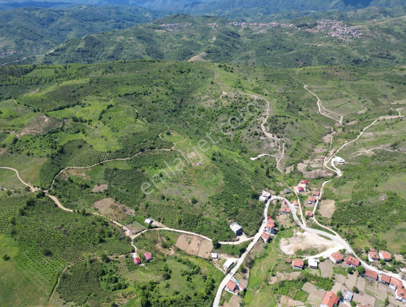 Elite Gd & 3662 M2 Kadastro Yolu Olan Düzce Yığılca Hacılar - Görsel 9