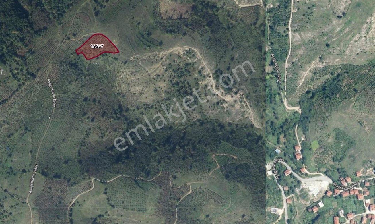 Elite Gd & 3662 M2 Kadastro Yolu Olan Düzce Yığılca Hacılar - Görsel 8