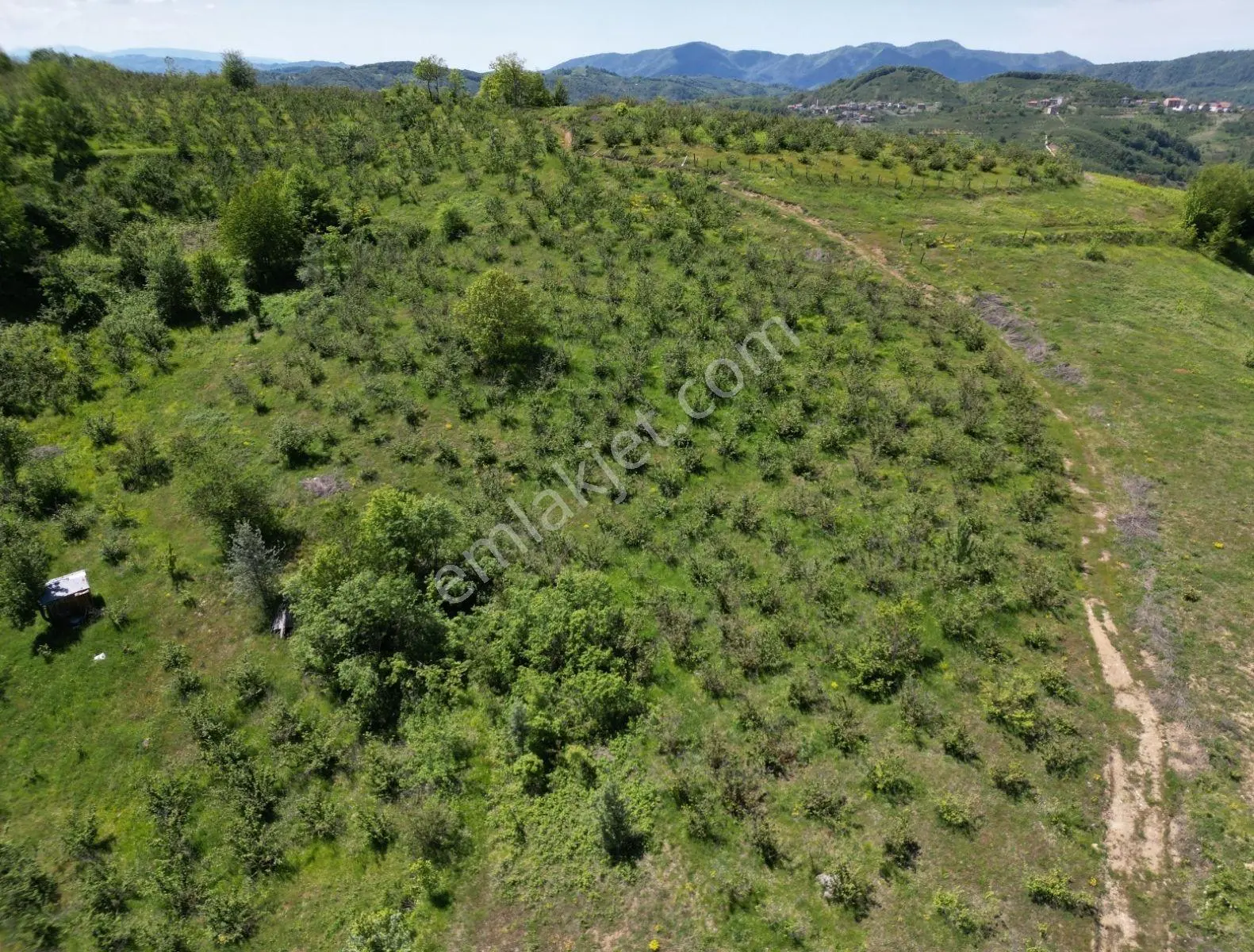 Elite Gd & 3662 M2 Kadastro Yolu Olan Düzce Yığılca Hacılar - Görsel 5