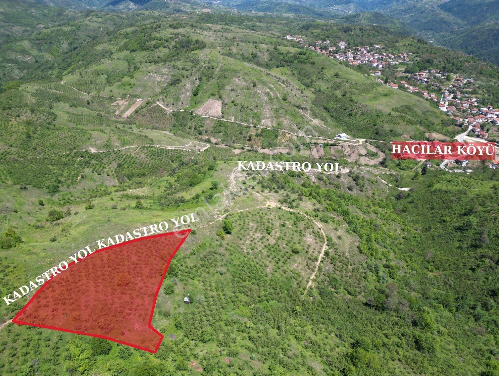 Elite Gd & 3662 M2 Kadastro Yolu Olan Düzce Yığılca Hacılar - Görsel 4