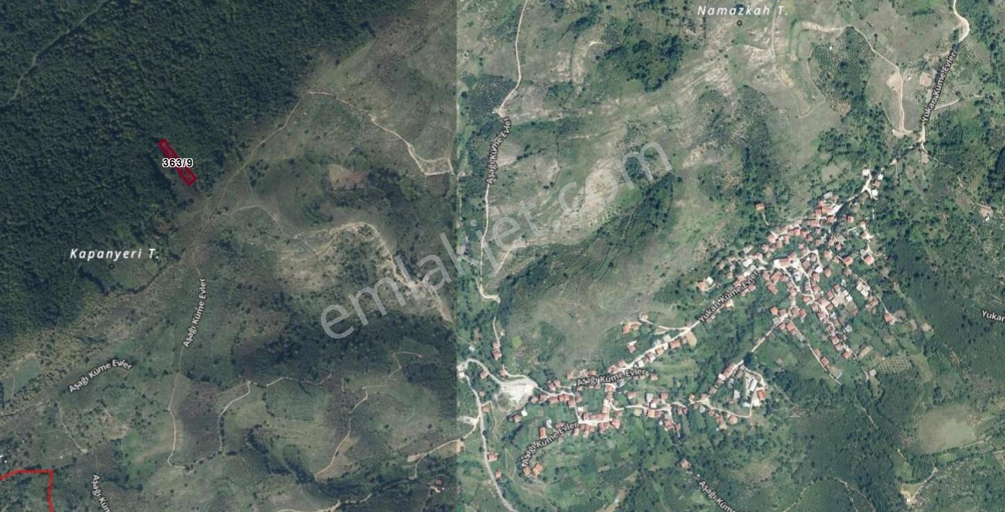 Elite Gd & 1407 M2 Düzce Yığılca Hacılarda Yatırımlık Tarla