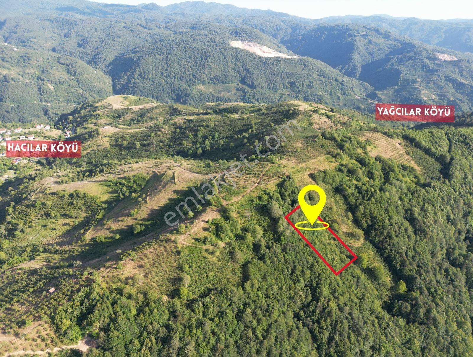 Elite Gd & 1407 M2 Düzce Yığılca Hacılarda Yatırımlık Tarla - Görsel 4